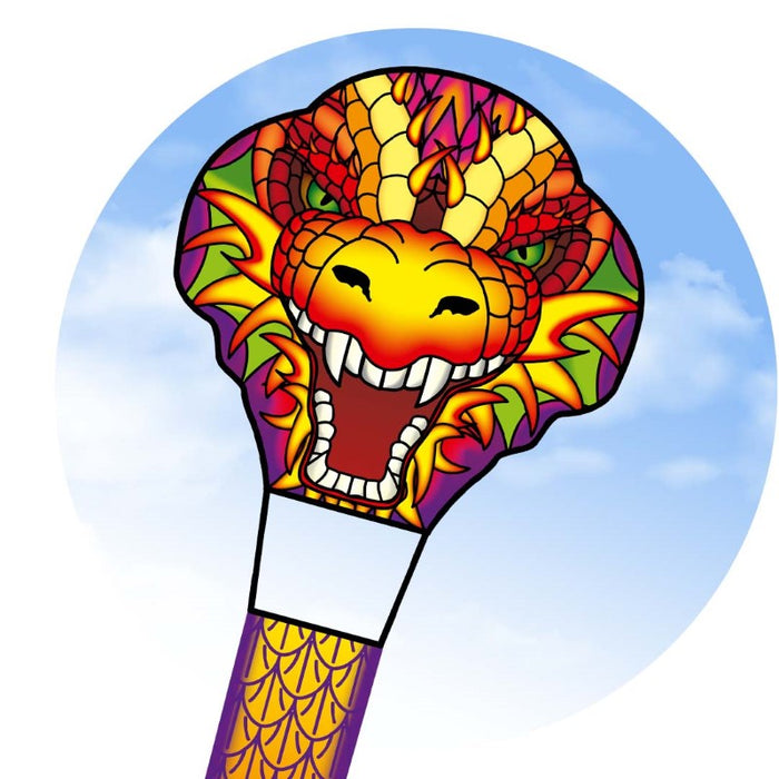 32' Dragonhead Kite