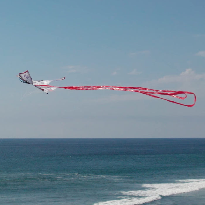 57" Ultra SuperSize Airplane Kite - F-14 Fighter Jet