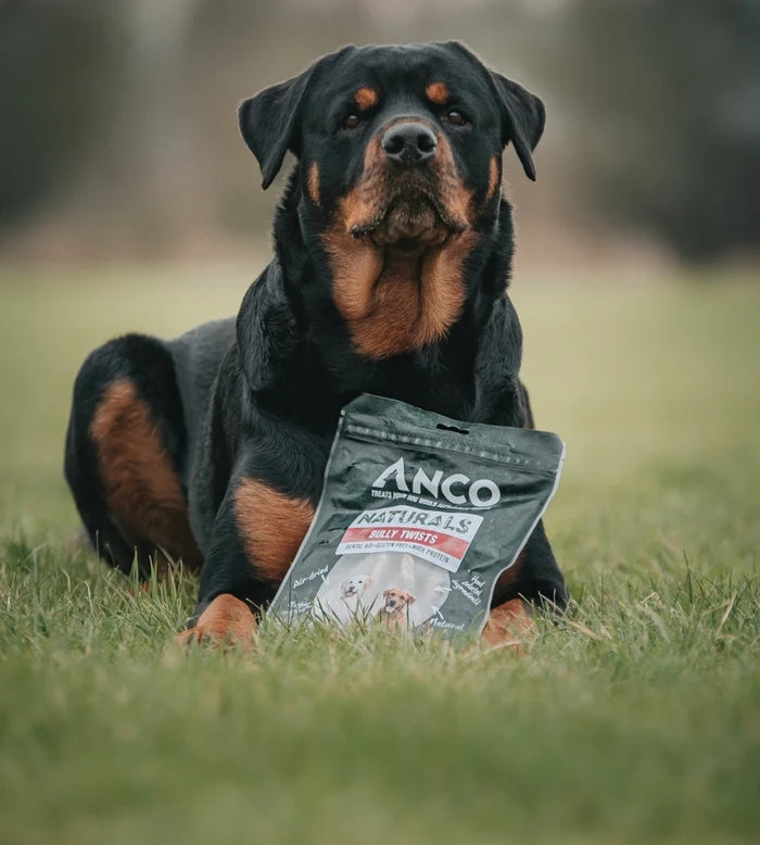 Anco Bully Twists Dog Chew