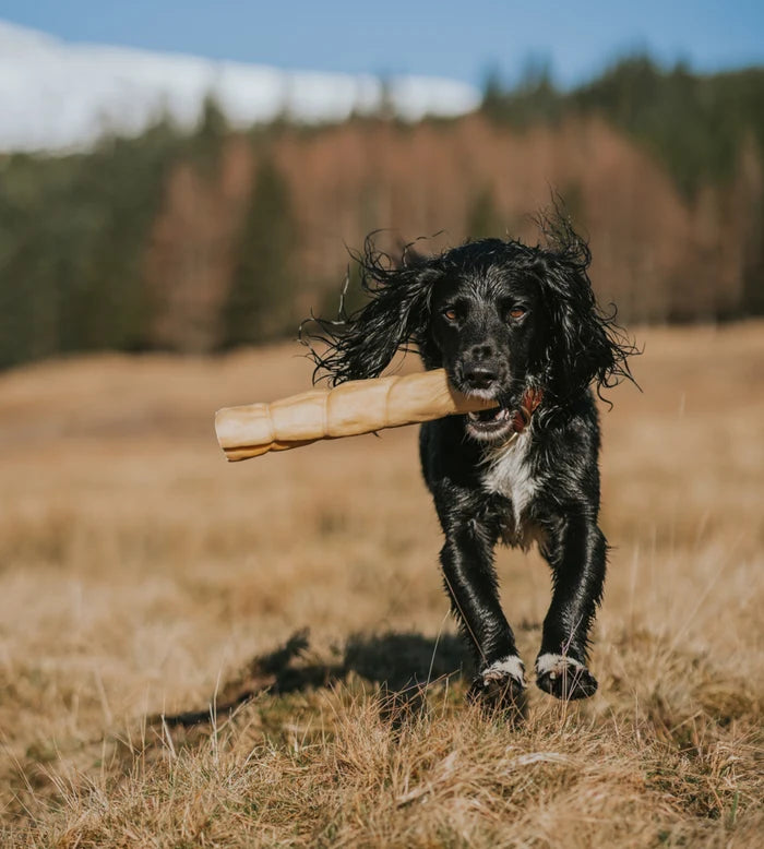 Anco Lamb Roll Large Dog Chew