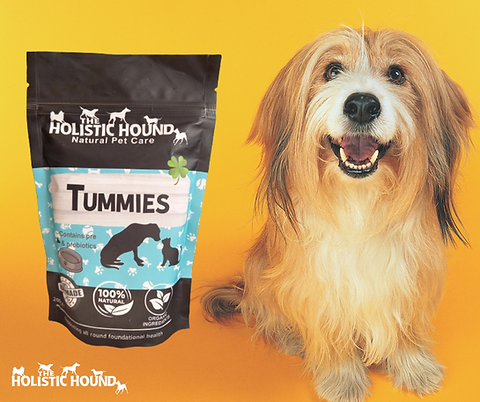 Holistic Hound Tummies Dog Supplement