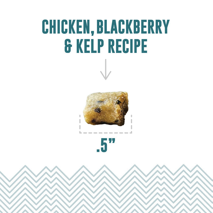 Icelandic+ Chicken, Blackberry & Kelp Recipe Soft & Chewy Bites for Cats