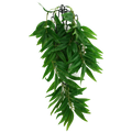 Komodo Climbing Plant Bamboo