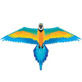 Macaw Bird RainForest Kite - Kitty Hawk Kites Online Store
