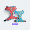 Reversible Harness image 0