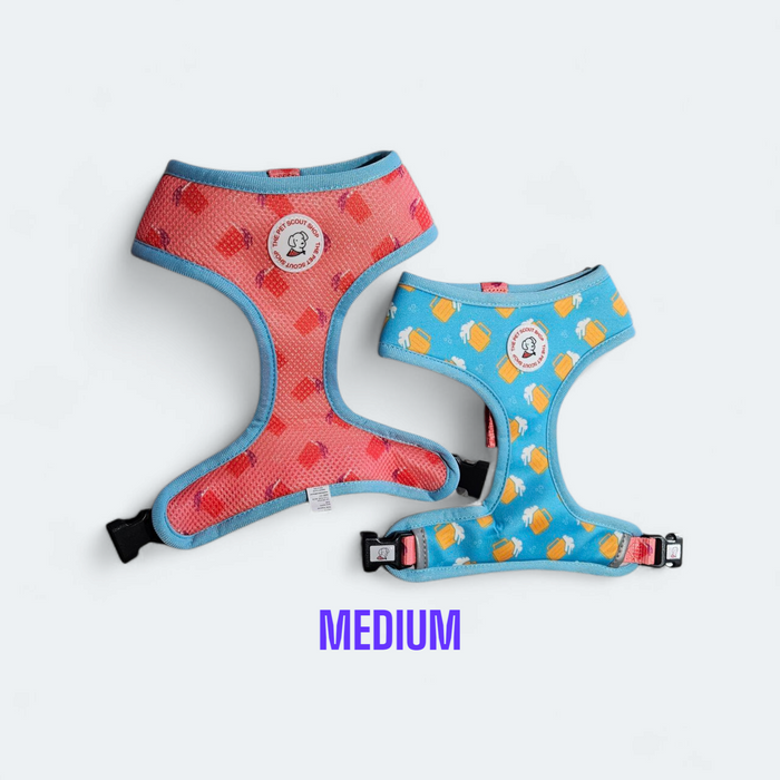 Reversible Harness image 0