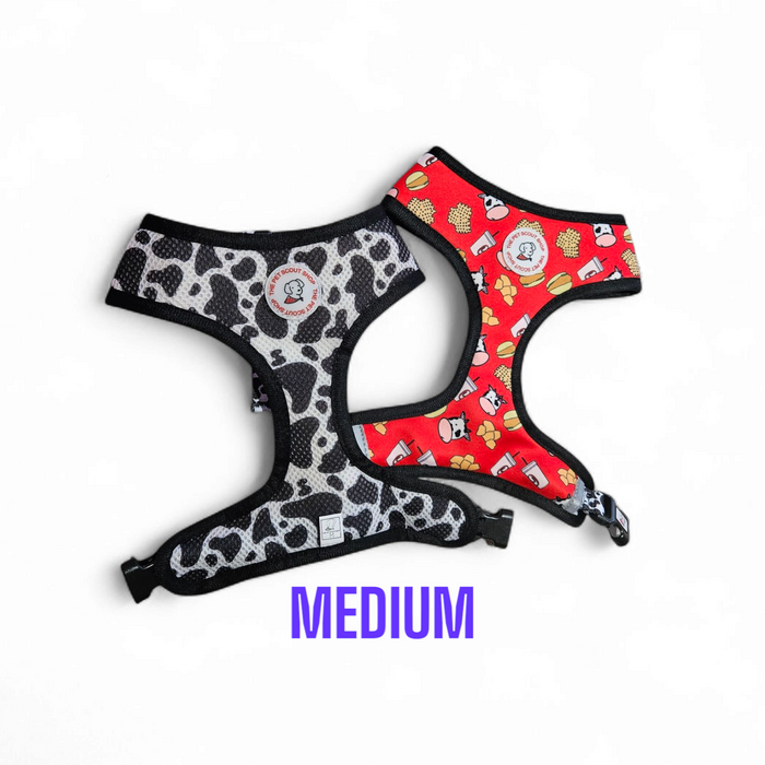 Reversible Harness image 0