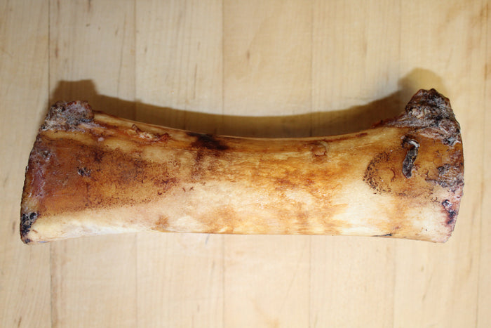 Smoked Center Cut Femur Bone